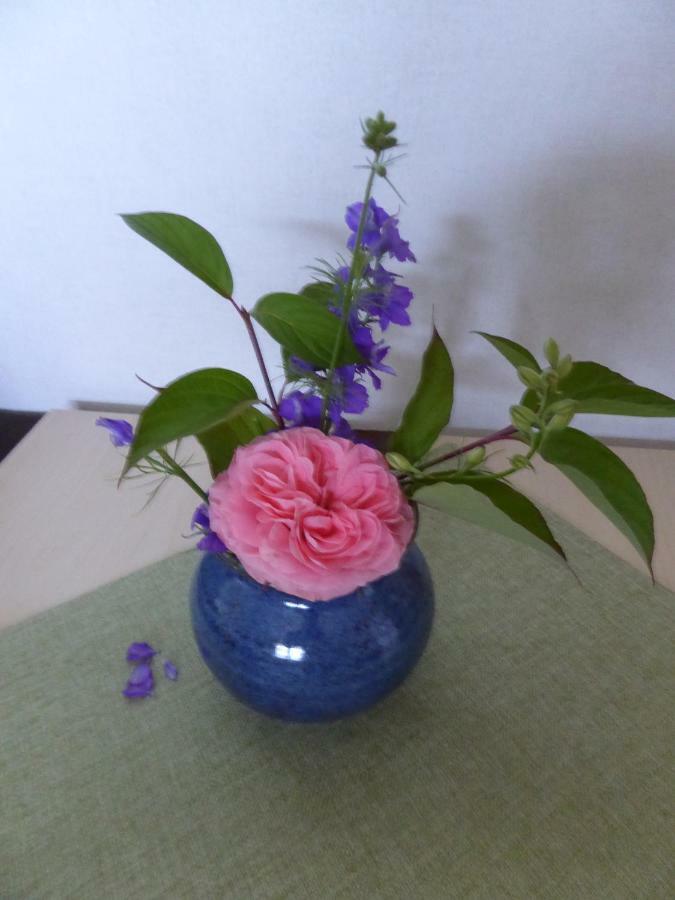 מיכלשטאט Ferienwohnung Dora 1 מראה חיצוני תמונה